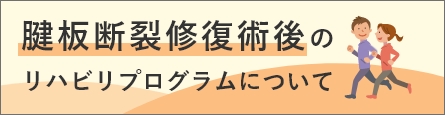 腱板断裂修復後のリハビリプログラムについて